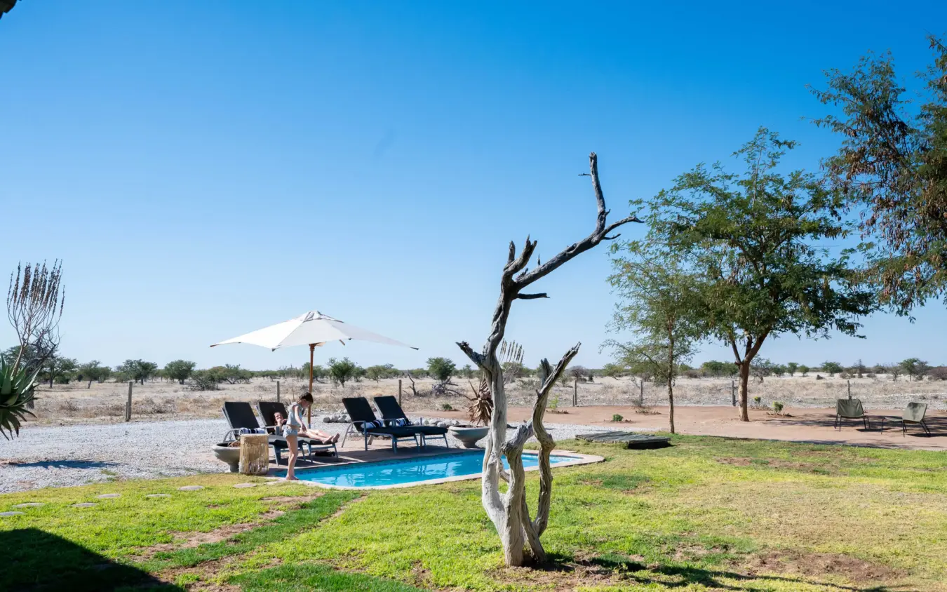 Swimming pool with loungers and umbrella overlooking arid savanna landscape, Safari House, Etosha National Park, Namibia