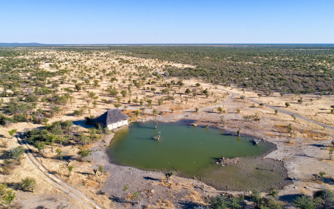 Aerial view of waterhole with safari lodge and scattered wildlife in arid bushland, Safari House, Etosha National Park, Namibia