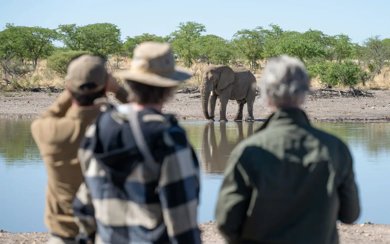 Guests observing elephant at waterhole during guided safari walk, Safarihoek Lodge, Etosha National Park, Namibia