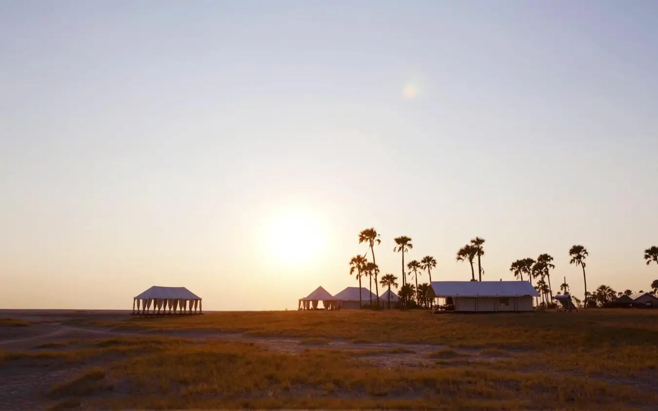 Safari lodge tents and structures at golden hour with palm trees, San Camp, Makgadikgadi Pans, Botswana