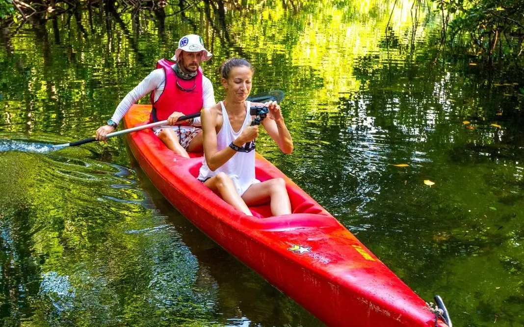 Two people kayaking in red boat through mangrove forest, Chale Island, Diani Beach, Kenya