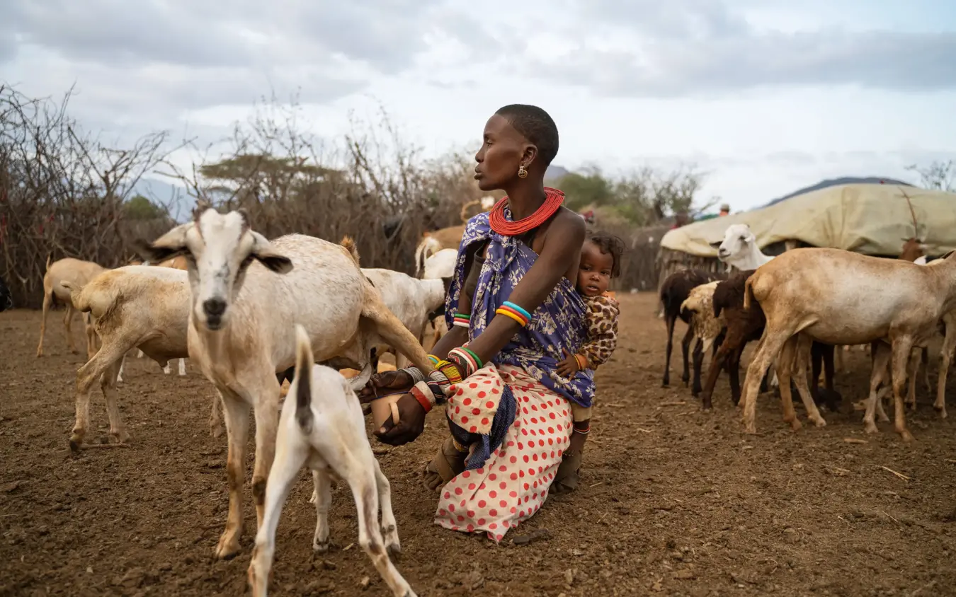 Woman with child tending goats in pastoral savanna landscape, Sarara Camp, Northern Kenya, Kenya