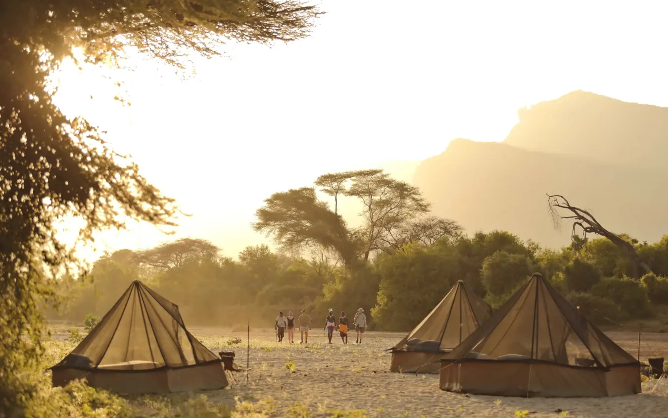 Luxury bell tents on sandy riverbed at golden hour with acacia trees, Sarara Camp, Northern Kenya, Kenya