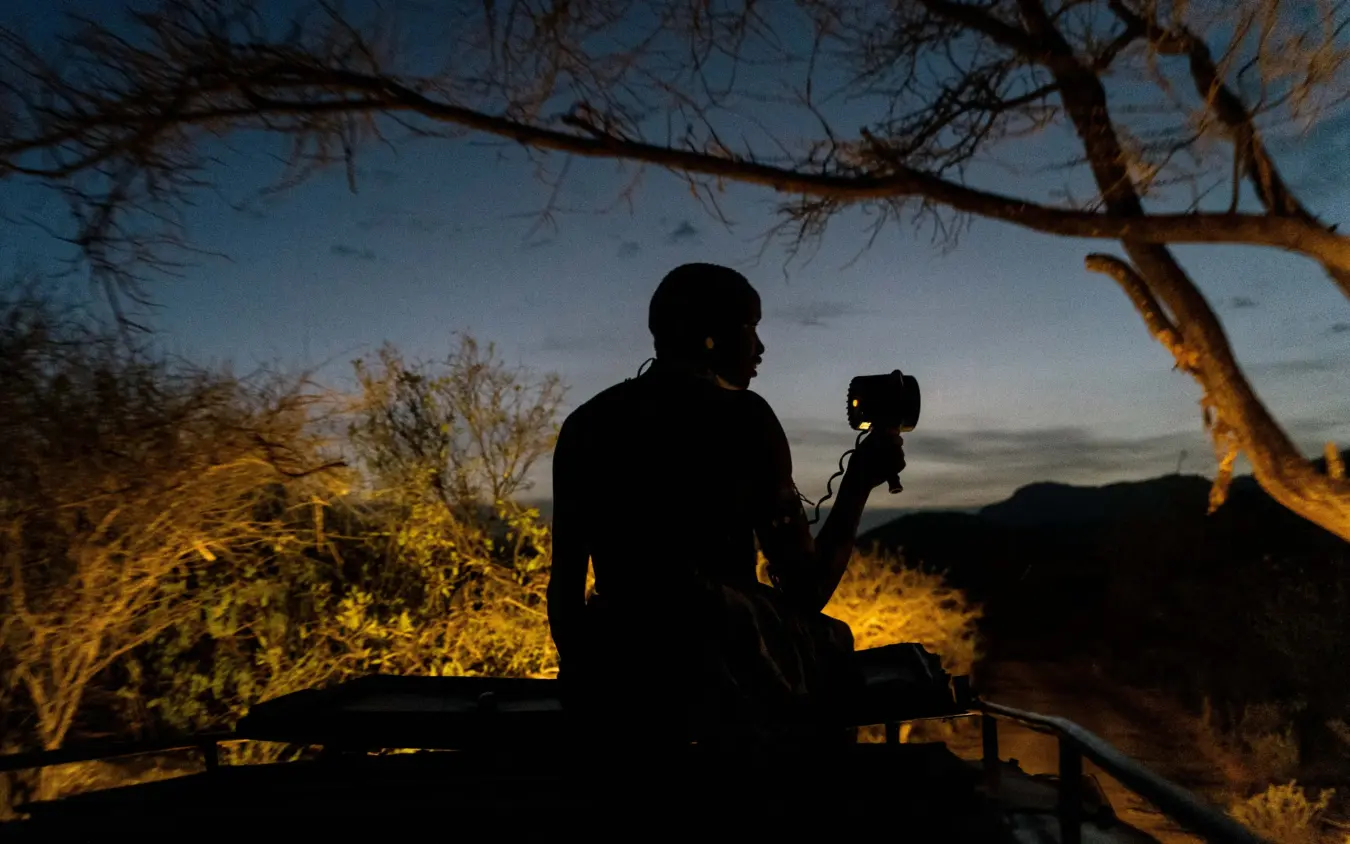 Silhouetted guests on safari vehicle at dusk with bare trees and valley backdrop, Sarara Treehouses, Northern Kenya, Kenya