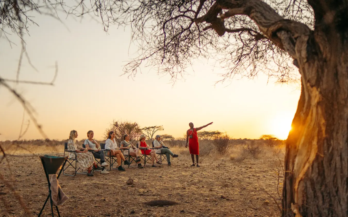 Group dining under baobab tree at sunset in savanna landscape, Sarara Wilderness, Northern Kenya, Kenya