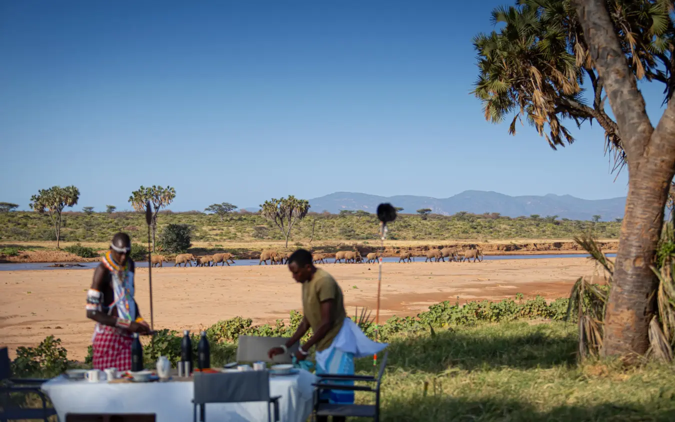 Riverside lunch setup with elephant herd watering in distant savanna, Sarara Wilderness, Northern Kenya, Kenya