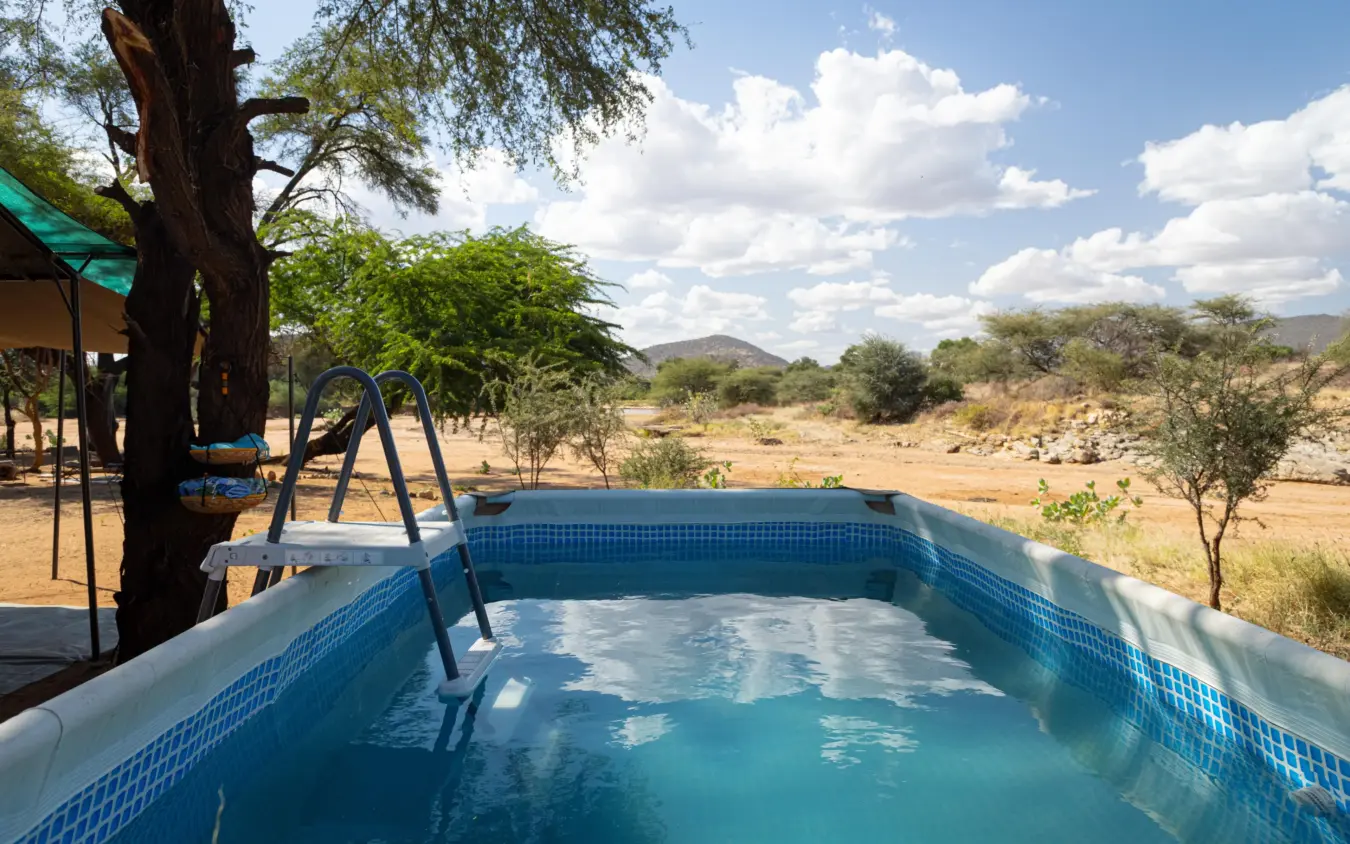 Swimming pool with ladder overlooking arid savanna landscape, Sarara Wilderness, Northern Kenya, Kenya