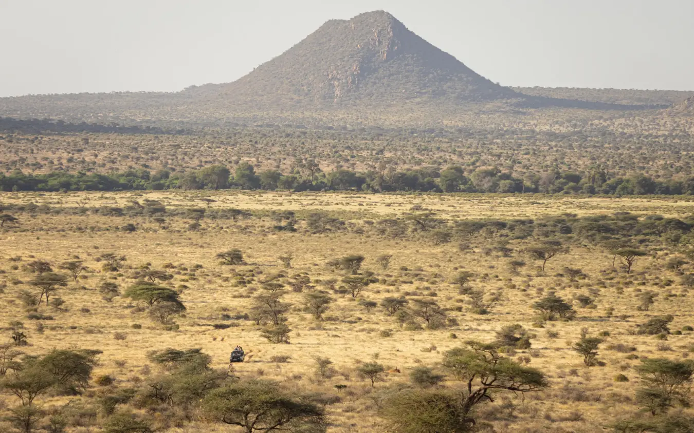 Safari vehicle on plain with acacia trees and volcanic mountain in distance, Sarara Wilderness, Northern Kenya, Kenya