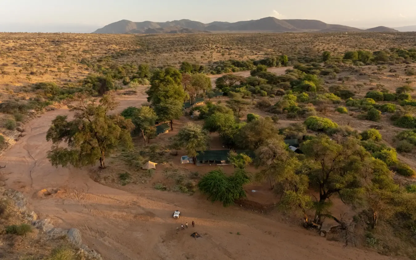 Remote safari camp nestled among acacia trees in arid savanna landscape, Sarara Wilderness, Northern Kenya, Kenya