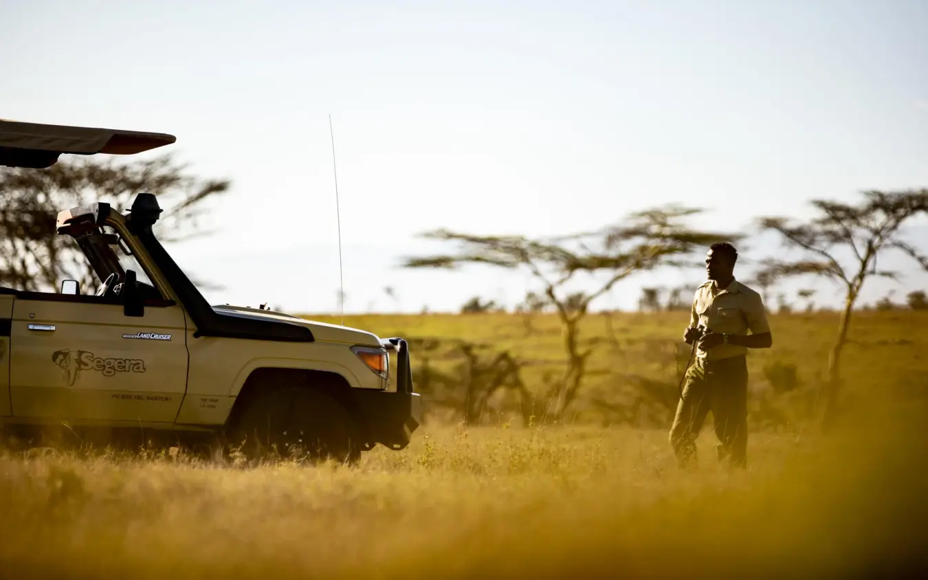 Safari vehicle and guide on vast golden savanna landscape, Segera, Laikipia Highlands, Kenya