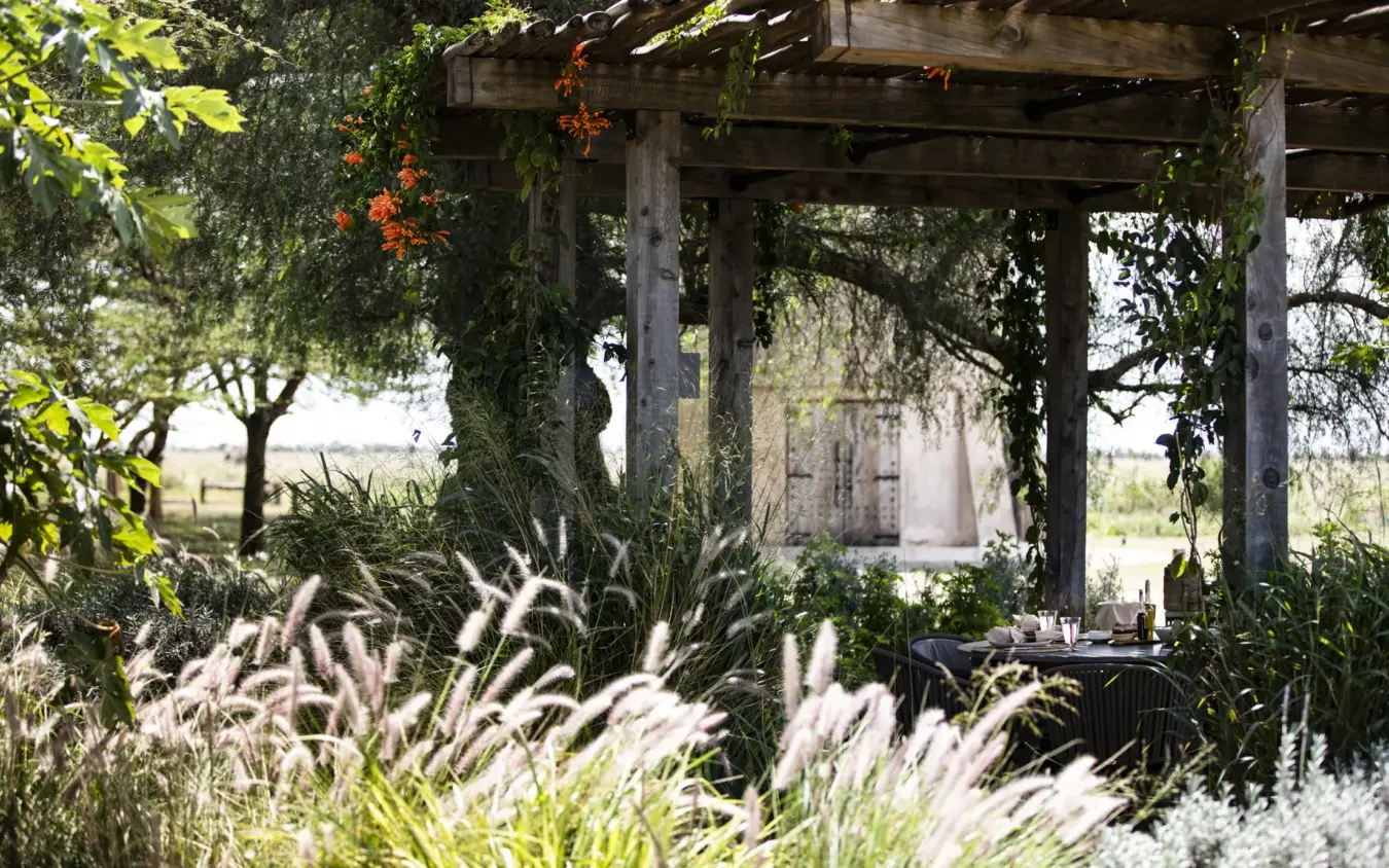 Pergola with ornamental grasses and vine-covered beams overlooking gardens, Segera, Laikipia Highlands, Kenya