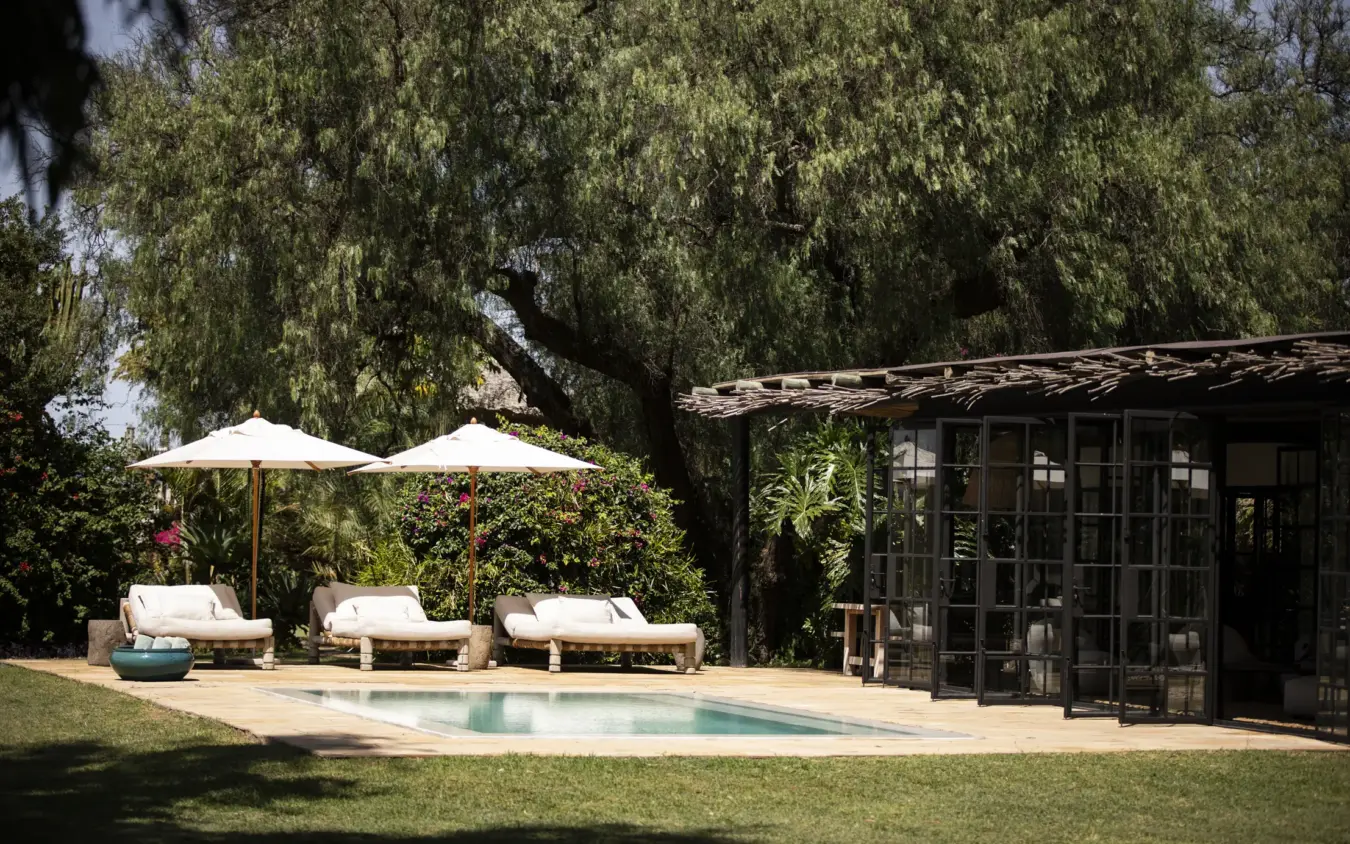Luxury poolside lounge with sun umbrellas and weeping willow trees, Segera, Laikipia Highlands, Kenya