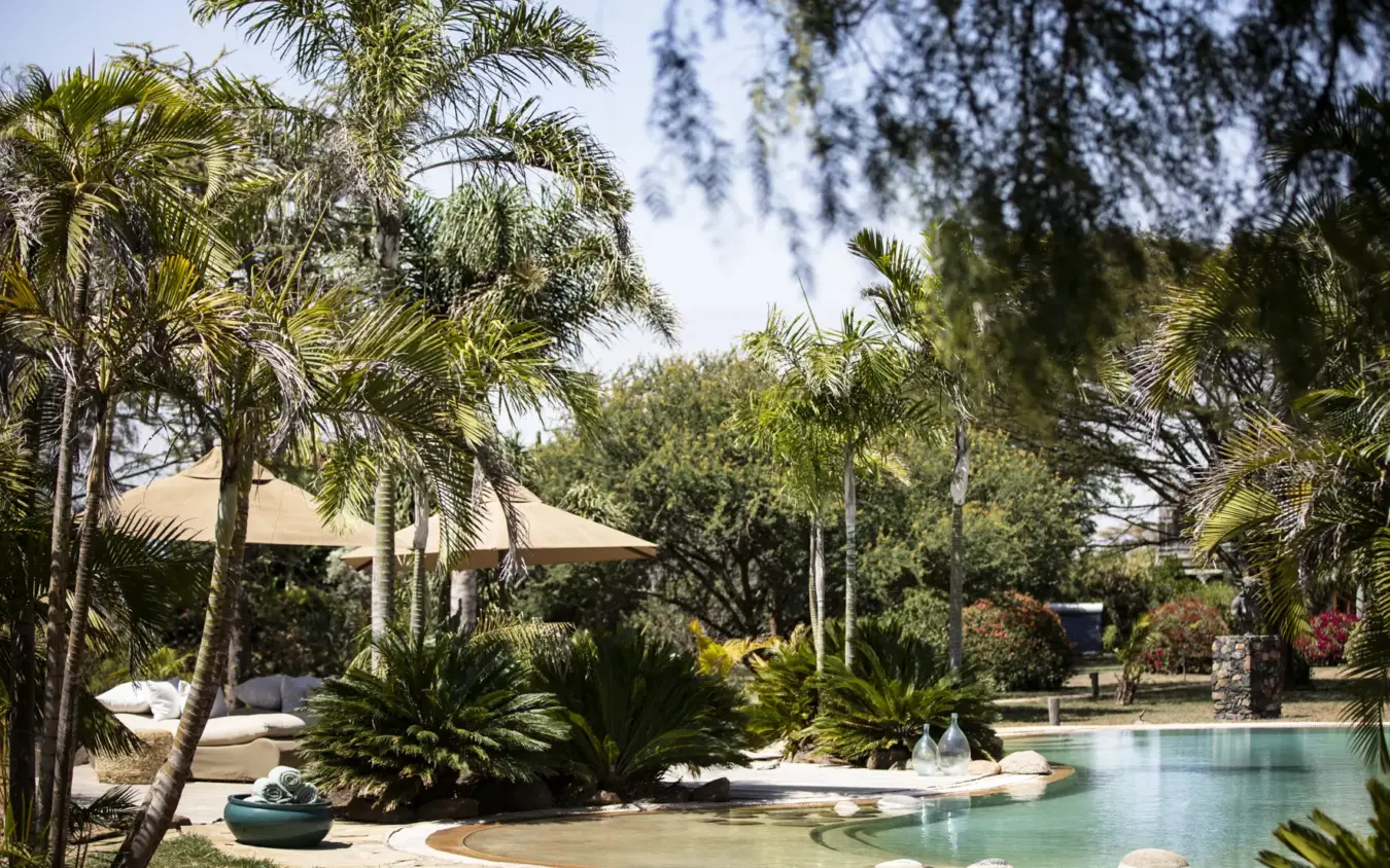 Luxury resort pool with palm trees and thatched sun shelter, Segera, Laikipia Highlands, Kenya