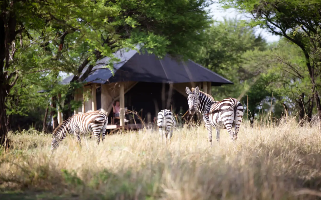 Serian Serengeti Lamai, Serengeti National Park, Tanzania