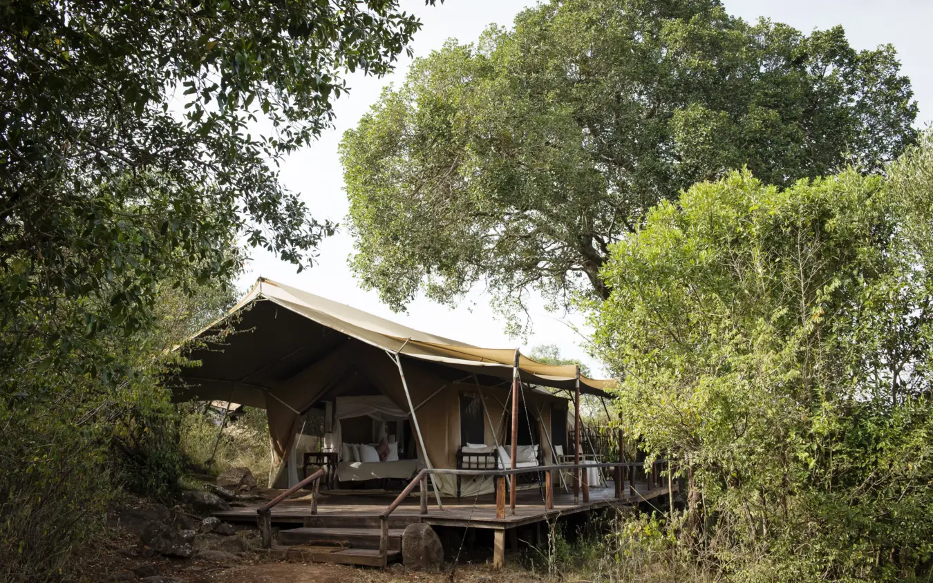 Canvas safari tent with wooden deck surrounded by trees, Serian “The Original”, Maasai Mara, Kenya