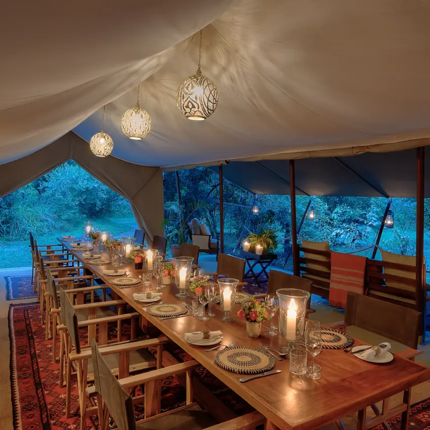Candlelit dining tent with floor-to-ceiling windows overlooking illuminated landscape at dusk, Seringet Mara Camp, Maasai Mara, Kenya