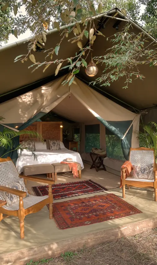 Luxury safari tent with wooden furniture and hanging lantern under trees, Seringet Mara Camp, Maasai Mara, Kenya