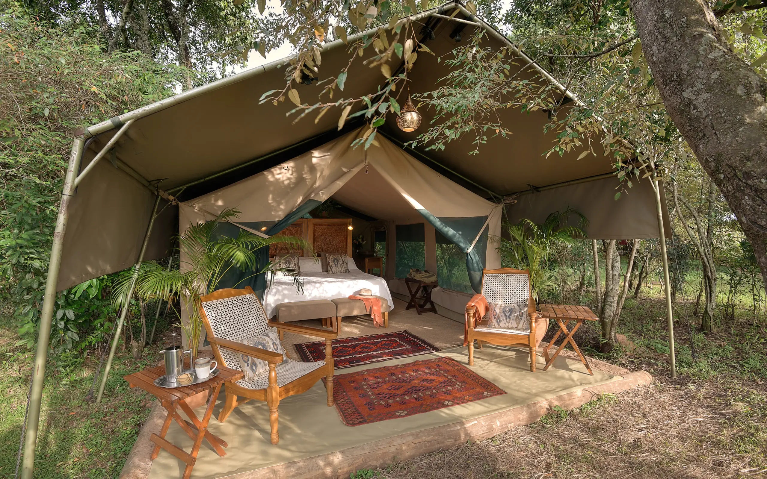 Luxury safari tent with bed and seating under canvas canopy in woodland, Seringet Mara Camp, Maasai Mara, Kenya