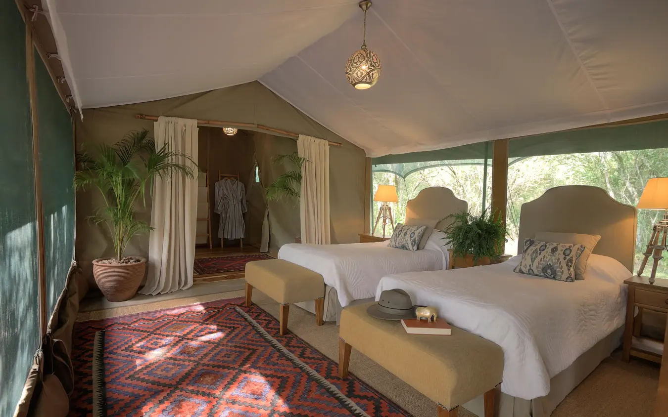 Luxury safari tent bedroom with twin beds and natural light from windows, Seringet Mara Camp, Maasai Mara, Kenya