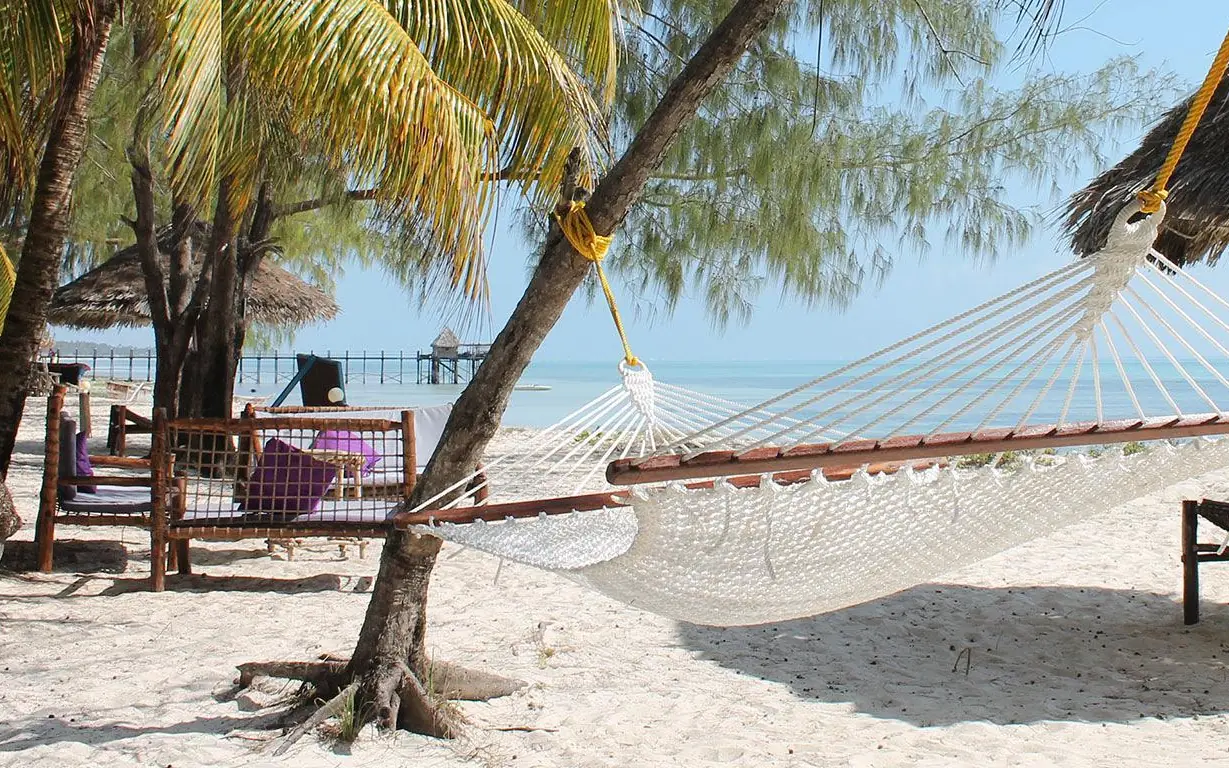 Beachfront hammock with palm trees and ocean view, Sharazad Boutique Hotel, Zanzibar & Pemba, Tanzania