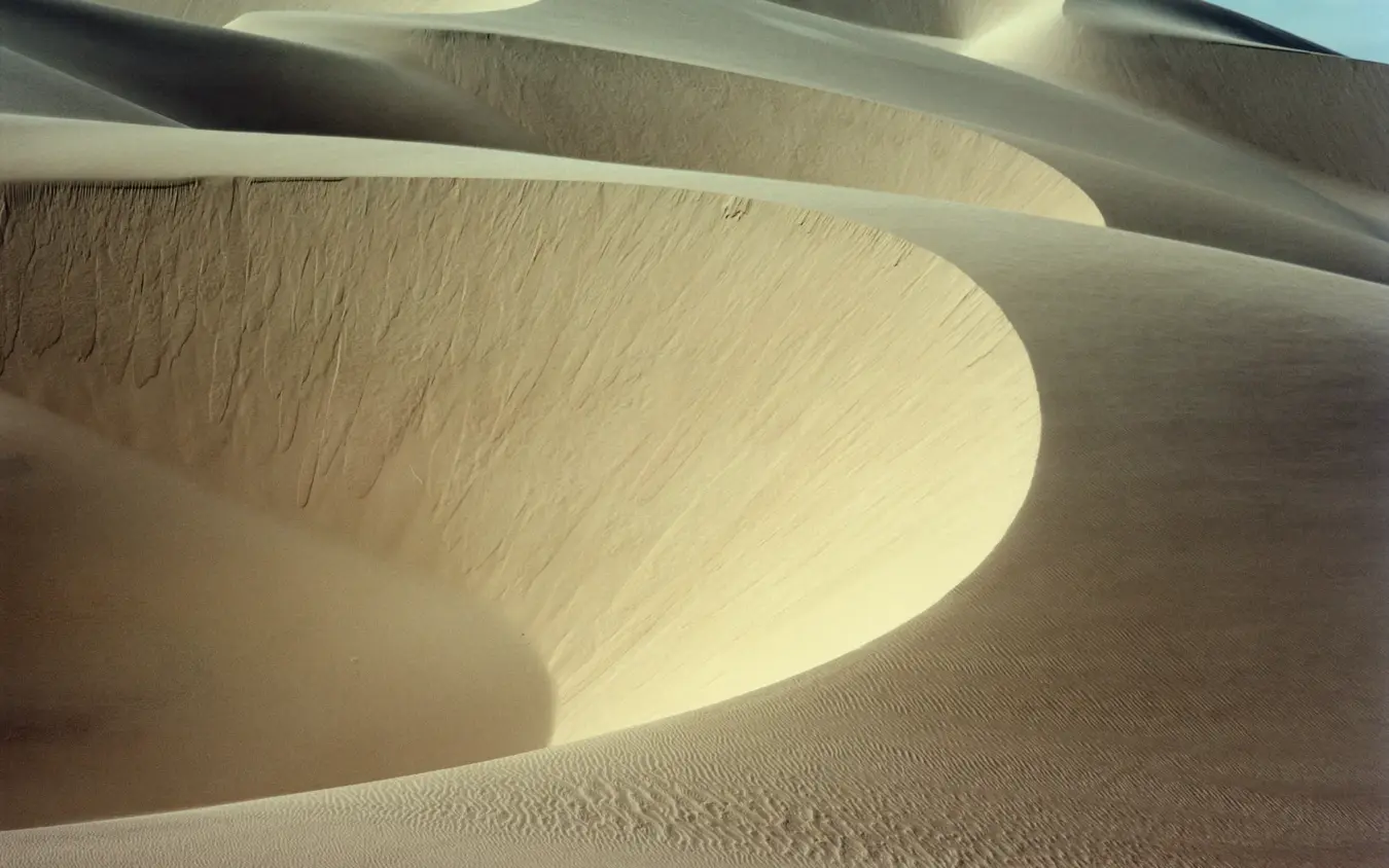 Expansive sand dunes with rippled surfaces and curved formations, Shipwreck Lodge, Skeleton Coast, Namibia