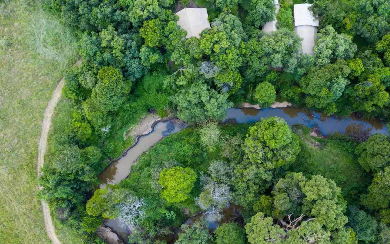 Aerial view of meandering river through dense forest canopy, Speke’s Camp, Maasai Mara, Kenya