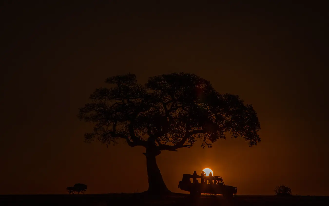 Silhouetted acacia tree with ruins and sunset, Speke’s Camp, Maasai Mara, Kenya