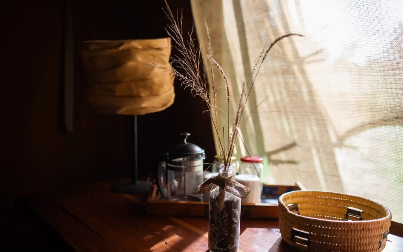 Interior detail with dried grasses in glass vase by window, Speke’s Camp, Maasai Mara, Kenya