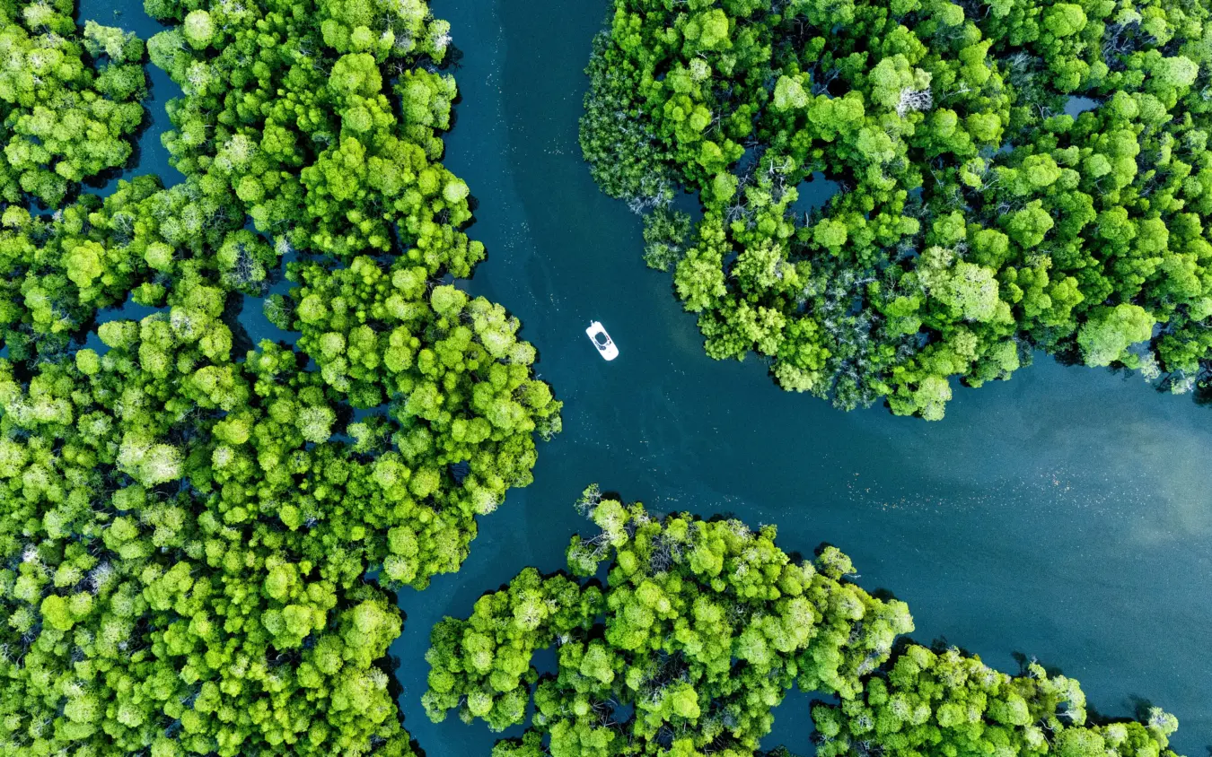 Aerial view of small boat navigating waterway through dense forest, The Cabanas, Lamu Archipelago, Kenya