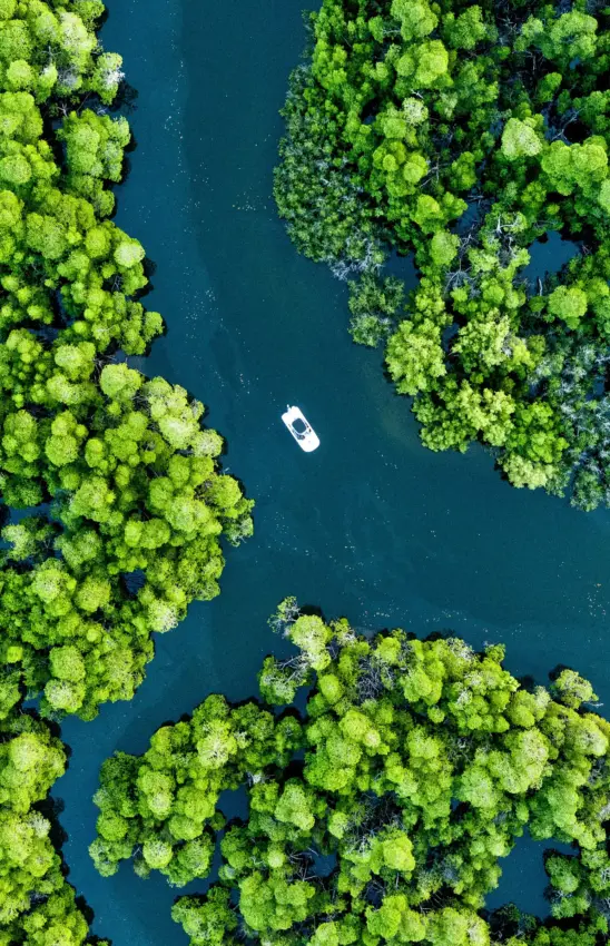 Aerial view of motorboat navigating through forested waterway, The Cabanas, Lamu Archipelago, Kenya