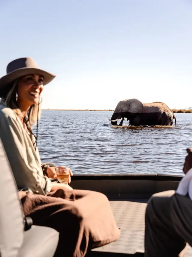Woman on boat viewing elephant swimming in shallow water, Savuti Camp, Linyanti Wildlife Reserve, Botswana