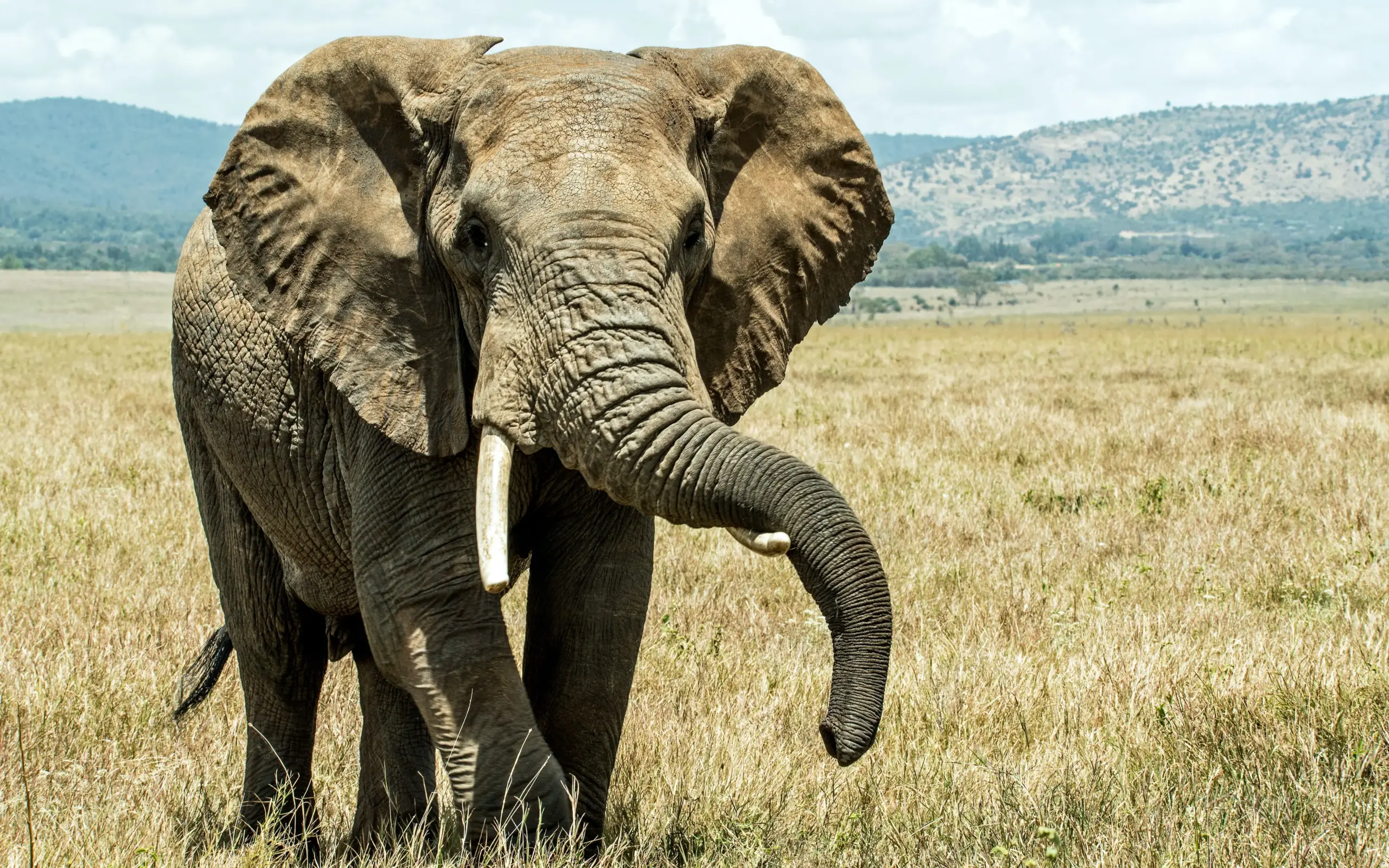 Best time to visit Akagera National Park